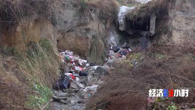 被染綠的黃河支流周晉峰接受央視采訪：排污—挖砂—垃圾…黃河治理需要生態文明(圖13)