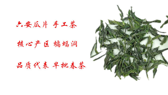 買六安瓜片新茶要注意些什么(圖1) 買六安瓜片新茶要注意些什么(圖1)