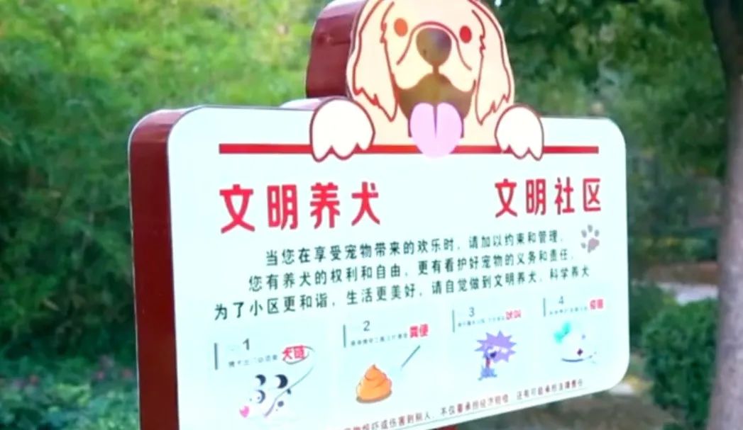 六安一地突發地震！震源深度7公里…@限期整改！涉及六安多小區(圖15)