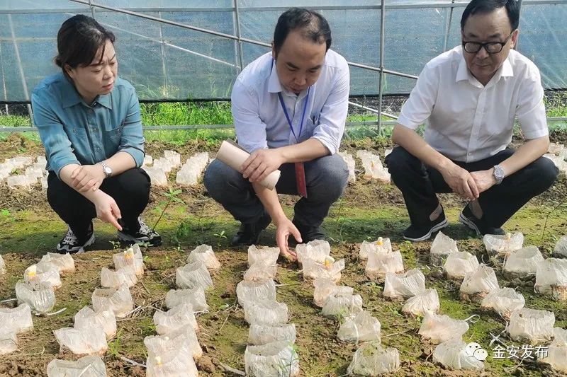 人社部項目！5天，“干貨”滿滿收獲豐！(圖20)