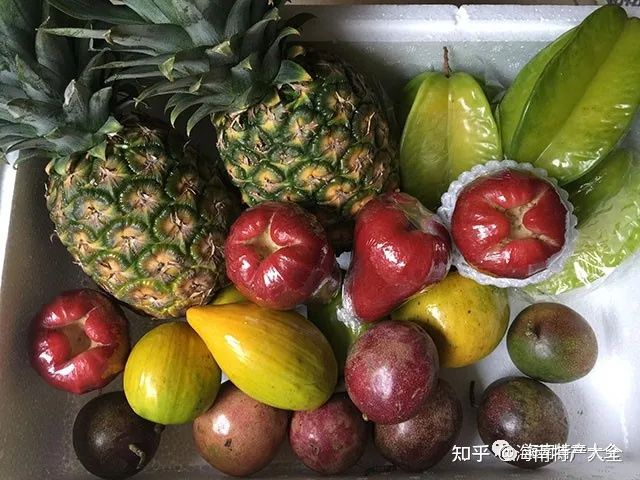 來海南必買的十大特產,每一個都值得你帶回家(圖1) 來海南必買的十大特產,每一個都值得你帶回家(圖1)