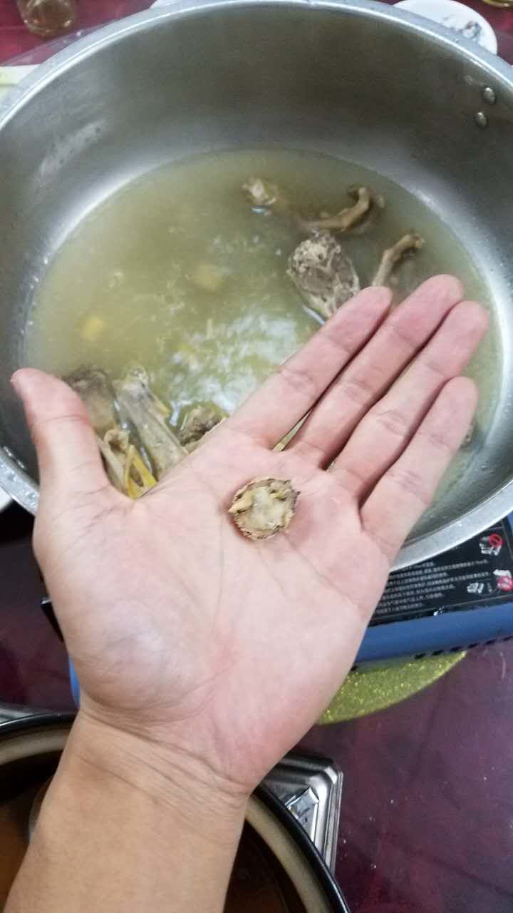 我真的在海南被坑哭了(圖2)
