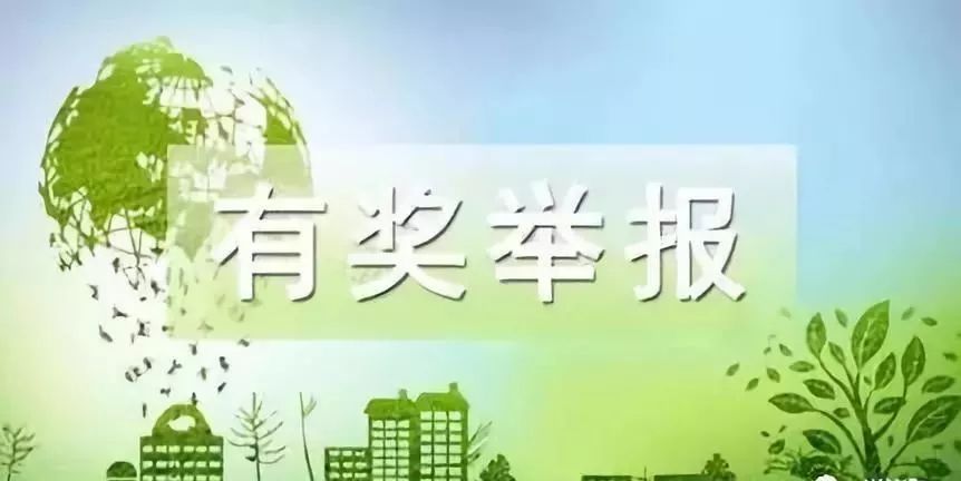 泌陽縣政府：舉報這事兒最高可獎勵現金10000元！(圖4)