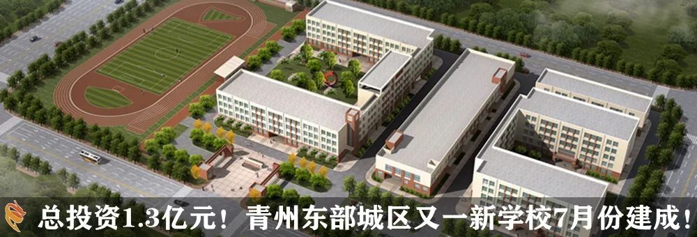 青州生態環保曝光②｜記者現場調查！路邊垃圾堆、養殖場、餐飲店……(圖9)