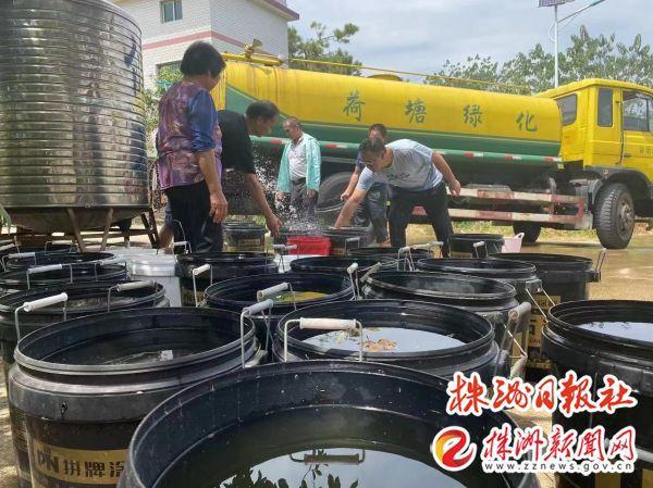 綠化水車“變身”送水車解獨居老人用水難題(圖5)