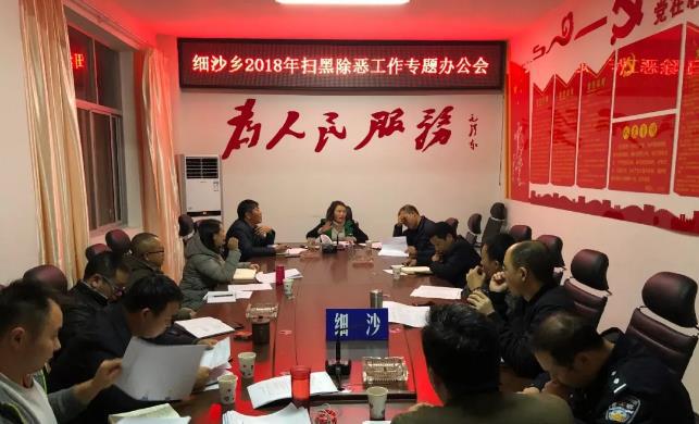 開展掃黑除惡建設和諧細沙(圖2)