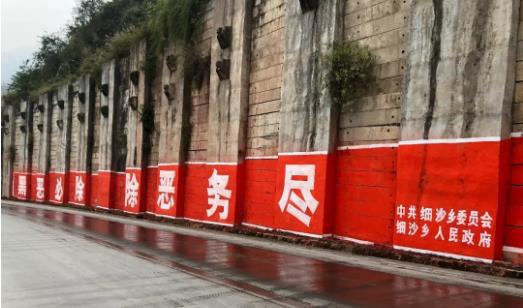 開展掃黑除惡建設和諧細沙(圖3)