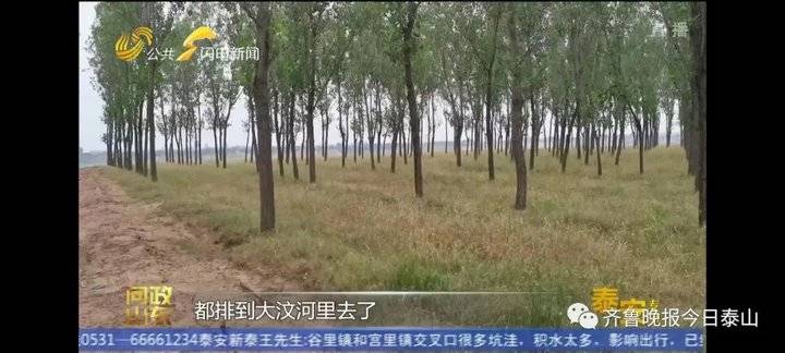 泰安9月24日接受電視問政,六個問題當(dāng)晚研究整改不推諉不拖延(圖26) 泰安9月24日接受電視問政,六個問題當(dāng)晚研究整改不推諉不拖延(圖26)