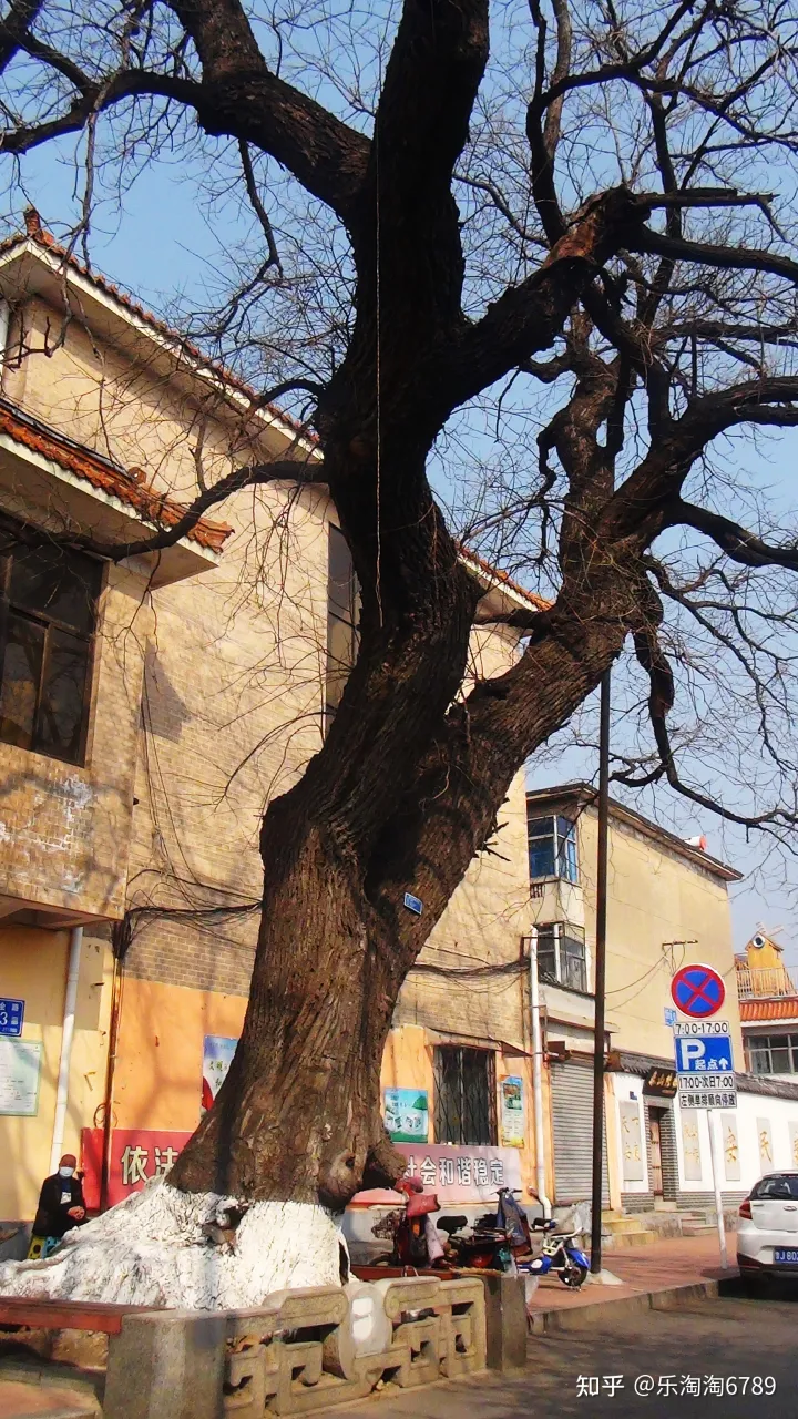 泰安:它是最古老街道之一,里面曾是豪宅林立,住著達(dá)官貴人,現(xiàn)僅存一處別樣景觀!(圖11) 泰安:它是最古老街道之一,里面曾是豪宅林立,住著達(dá)官貴人,現(xiàn)僅存一處別樣景觀!(圖11)