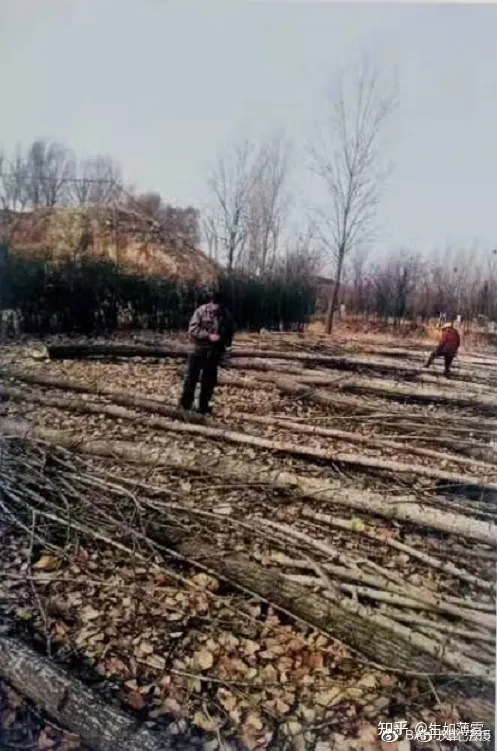 重大級財物被毀壞,為何案件無回應?(圖2) 重大級財物被毀壞,為何案件無回應?(圖2)