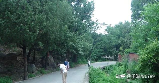 泰安:泰山南麓一處景點,清幽僻靜,是避暑觀光休閑的好地方!(圖8) 泰安:泰山南麓一處景點,清幽僻靜,是避暑觀光休閑的好地方!(圖8)