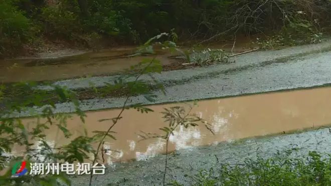 潮州鐵鋪溪流發(fā)黃淤泥堆積,都是洗砂場惹的禍(圖3)