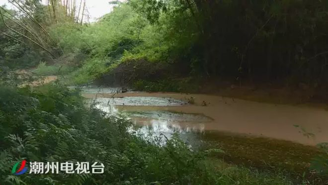 潮州鐵鋪溪流發(fā)黃淤泥堆積,都是洗砂場惹的禍(圖6)