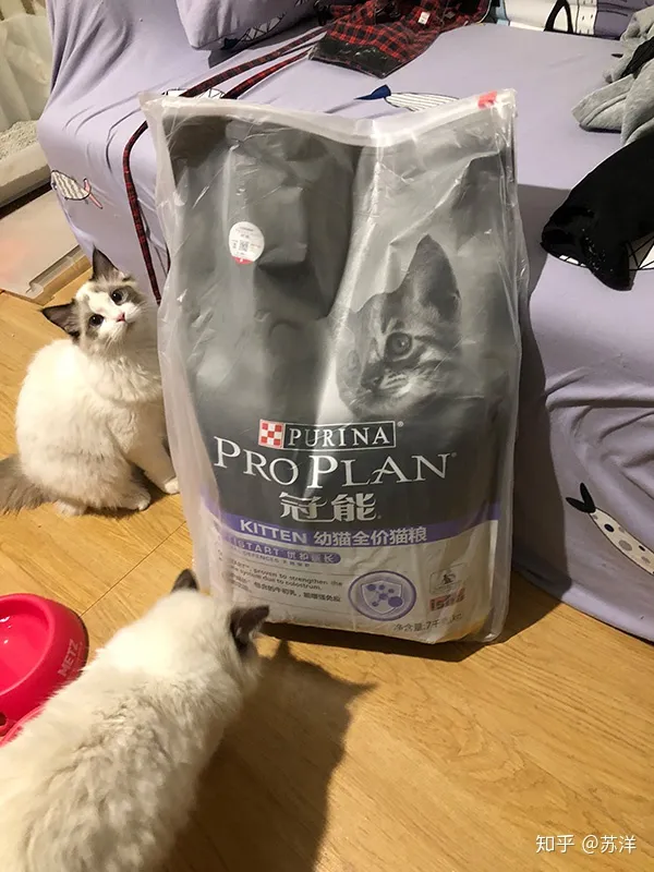 在58同城上買寵物靠譜嗎?(圖11) 在58同城上買寵物靠譜嗎?(圖11)