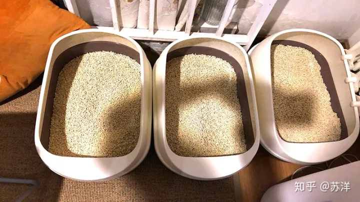 在58同城上買寵物靠譜嗎?(圖14) 在58同城上買寵物靠譜嗎?(圖14)