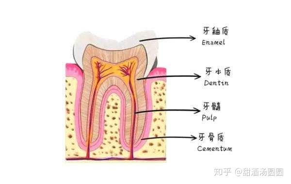 我在長(zhǎng)沙市口腔醫(yī)院補(bǔ)牙全過(guò)程及經(jīng)驗(yàn)分享(圖7) 我在長(zhǎng)沙市口腔醫(yī)院補(bǔ)牙全過(guò)程及經(jīng)驗(yàn)分享(圖7)