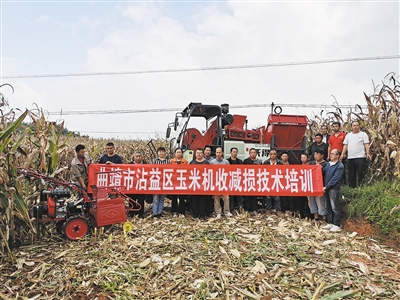 按下機械化秋收“快進鍵”(圖2)
