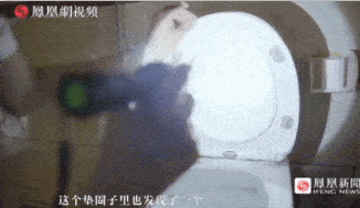 情侶酒店“激戰”40分鐘，4萬人在線圍觀：酒店是直播現場！(圖14)