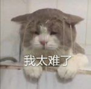 2022年家用烤箱推薦大全,附長帝、美的、格蘭仕、蘇泊爾、西門子、松下、博世、老板、華帝、方太、北美等各大品牌20款不同價位烤箱推薦(建議收藏)(圖2) 2022年家用烤箱推薦大全,附長帝、美的、格蘭仕、蘇泊爾、西門子、松下、博世、老板、華帝、方太、北美等各大品牌20款不同價位烤箱推薦(建議收藏)(圖2)
