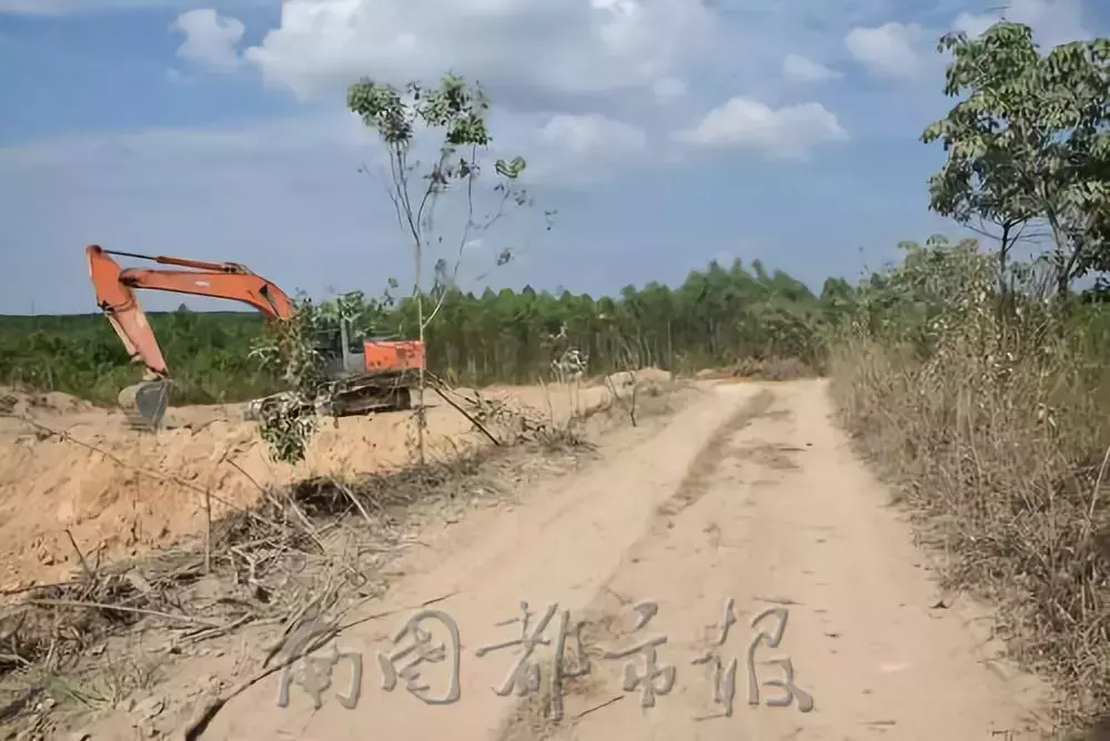 “不買我的砂就打死你！”海南這11個“砂霸”因涉黑涉惡覆滅(圖8)