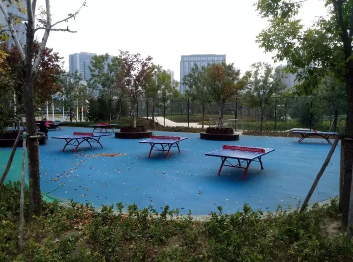 鄭州最好公園!大人能跑步,小孩能玩沙,設備全進口,不收門票!(圖11) 鄭州最好公園!大人能跑步,小孩能玩沙,設備全進口,不收門票!(圖11)