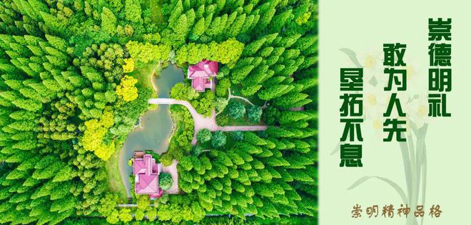 夏季供水高峰，崇明這樣做！(圖5)