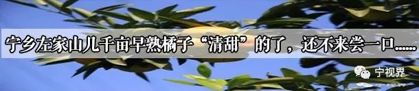 東湖塘鎮一非法洗砂場頂風作案，堅決徹底取締！(圖15)