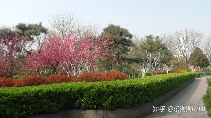 泰安：它是“皇城根里第一條街”，是泰安最繁華老街之一，如今還殘存些許影子，現卻幾無人知！(圖7)