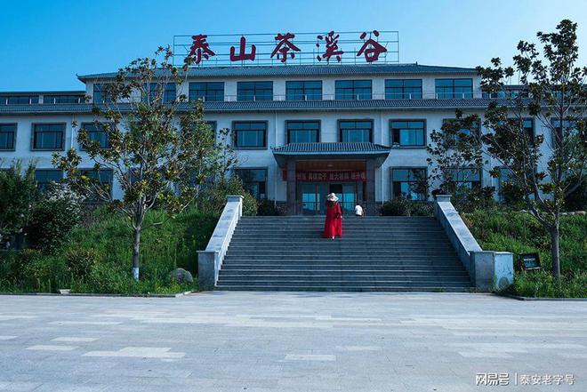 我為泰安老字號(hào)代言（六）—泰山茶溪谷?茶溪谷農(nóng)業(yè)發(fā)展有限公司(圖1)