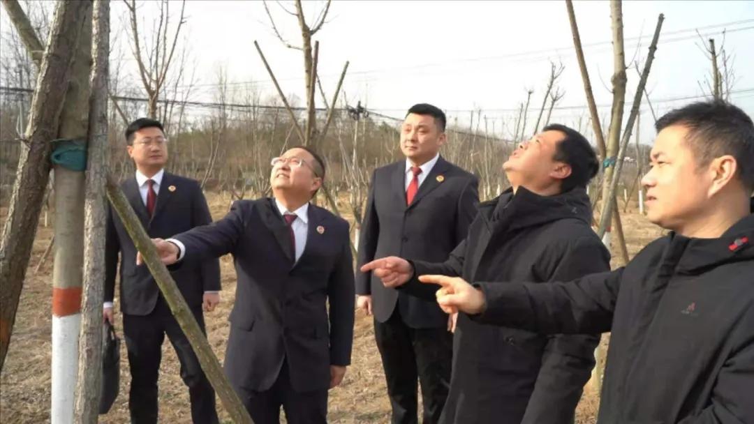 最高檢發布檢察公益訴訟起訴典型案例(圖31) 最高檢發布檢察公益訴訟起訴典型案例(圖31)
