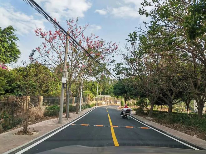 投資250多萬元！惠安這個村：鄉(xiāng)村道路“白改黑”鄉(xiāng)村振興“添新顏”(圖2)