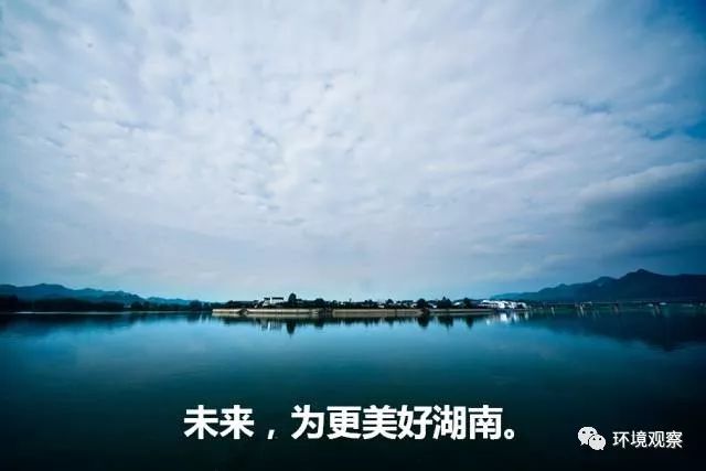 “鬧大”與“柔化”：民間環保組織的行動策略——以綠色瀟湘為例(圖1)