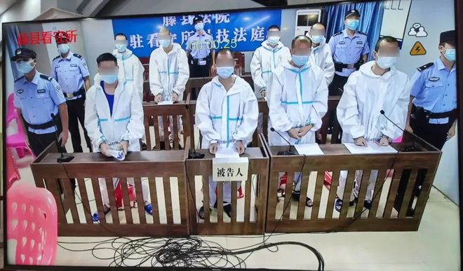 緊揪整治“牛鼻子”讓黑惡勢力無處生根——梧州市深化四大行業領域整治助推常態化掃黑除惡(圖6)