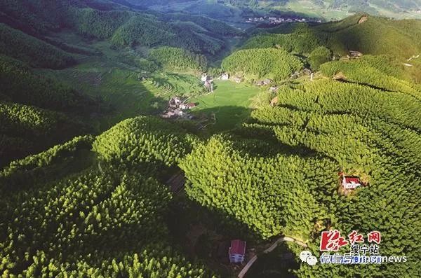 【慶祝新中國成立70周年系列報道】奮進七十載綠洲展華彩——新中國成立70年來綏寧縣經濟社會發展綜述(圖3)