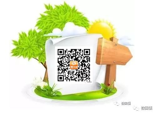 執(zhí)法動態(tài)：田鎮(zhèn)分局強制拆除一處非法碎石洗砂設備(圖5)