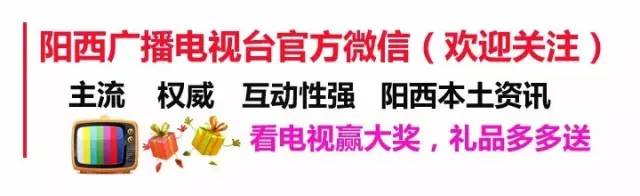 陽西縣嚴厲打擊河道非法采砂行為(圖2)