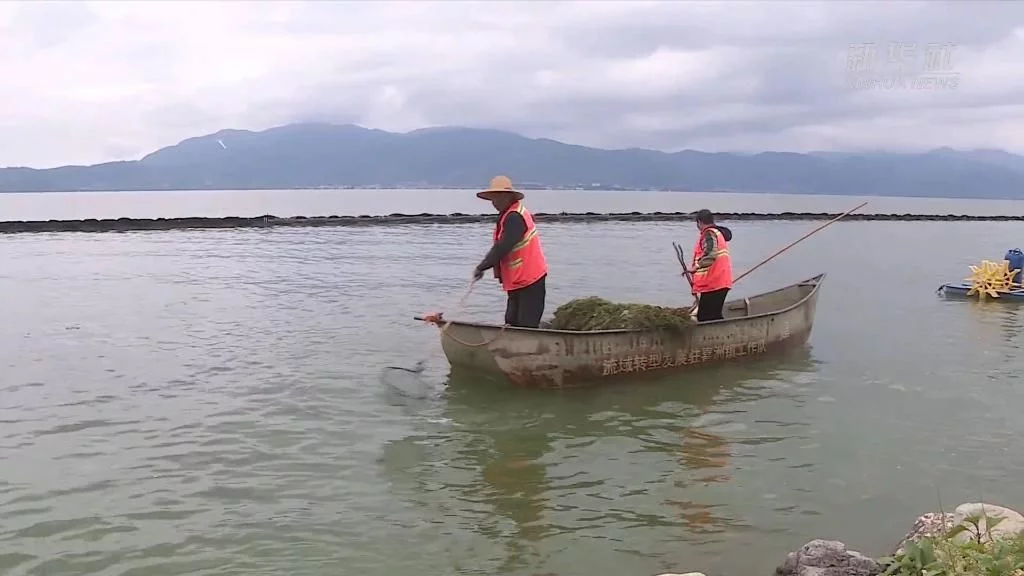 喜迎二十大|洱海之治(圖1) 喜迎二十大|洱海之治(圖1)