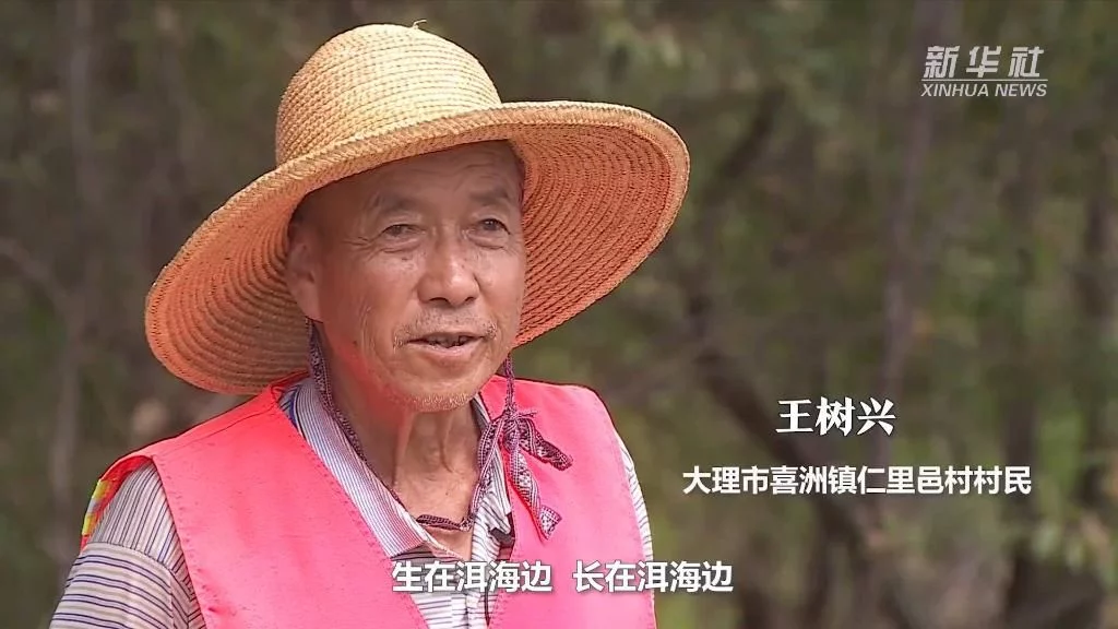 喜迎二十大|洱海之治(圖3) 喜迎二十大|洱海之治(圖3)